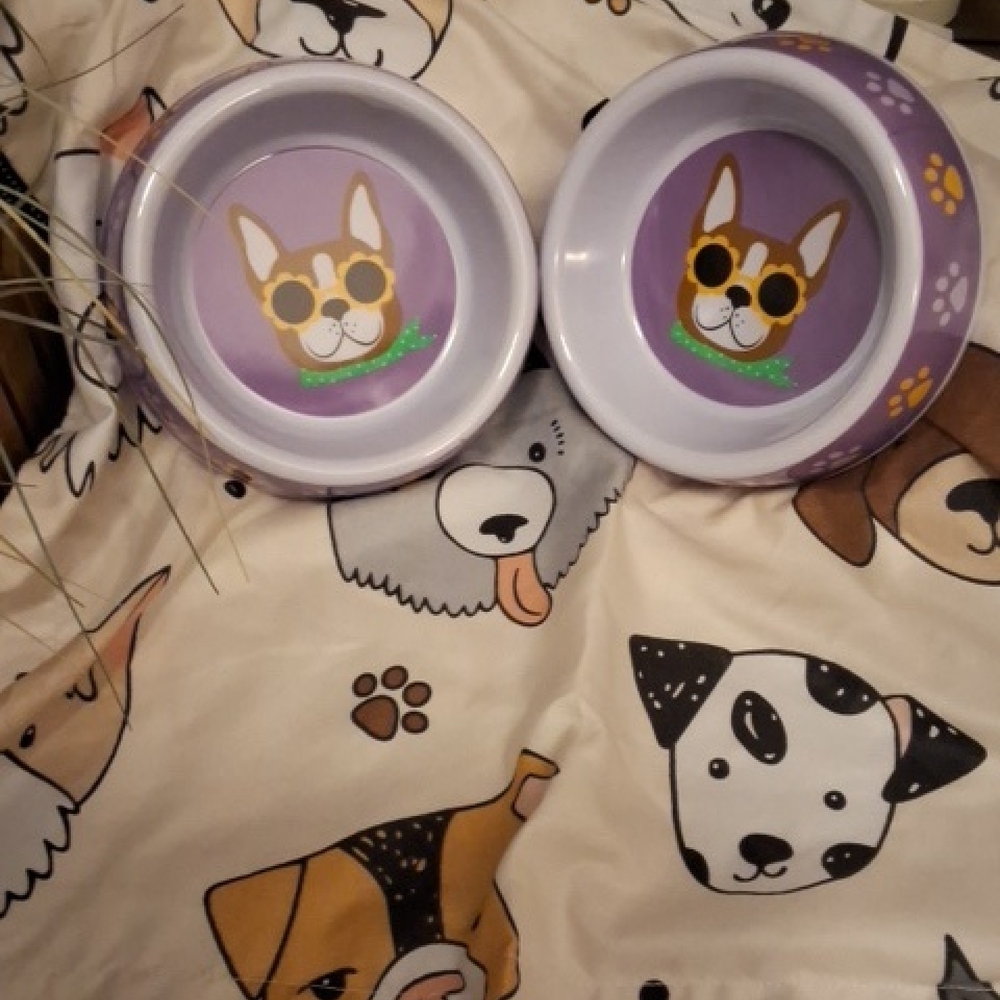 🐕Set of puppy bowls